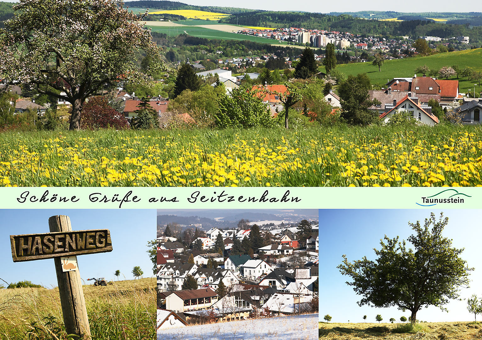 Postkarte Seitzenhahn