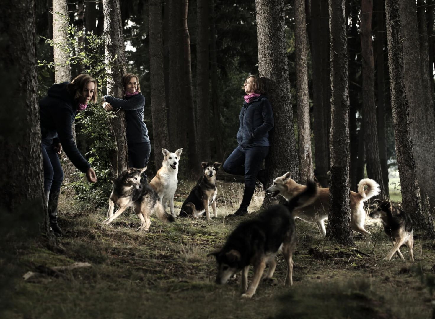 Fantasy-Collage aus Portrait&Tiershooting