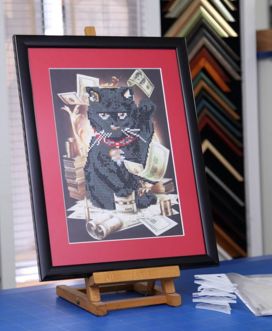 Kater Jackpot in Rot