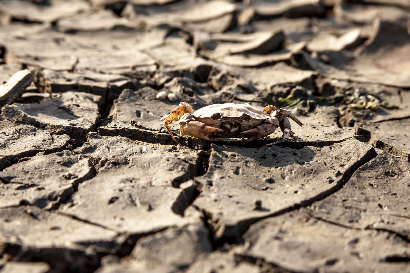 Eine trockne Angelegenheit